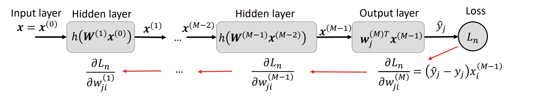 Back Propagation.png