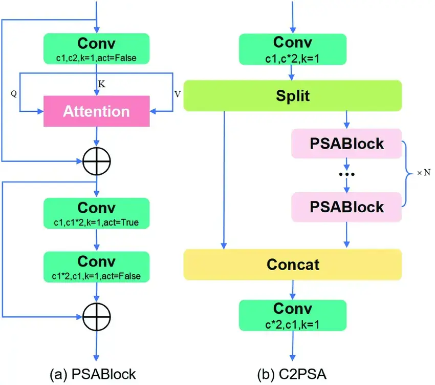 C2PSA