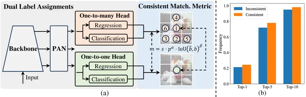 YOLOv10-Assignment.webp